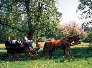 Kutschfahrten bei Fuhrhalterei Schmidt